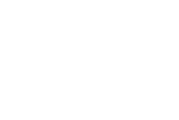 Pulse Insurance Logo